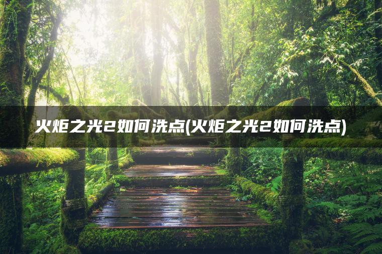 火炬之光2如何洗点(火炬之光2如何洗点)