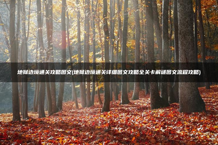 地狱边境通关攻略图文(地狱边境通关详细图文攻略全关卡解谜图文流程攻略)