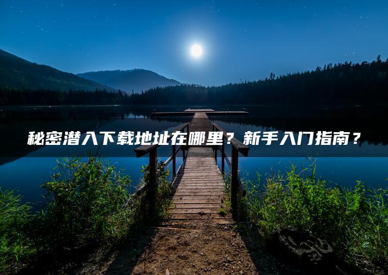 秘密潜入下载地址在哪里？新手入门指南？