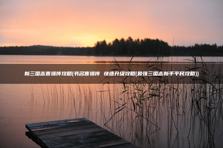 新三国志曹操传攻略(书名曹操传 快速升级攻略(最强三国志新手平民攻略))