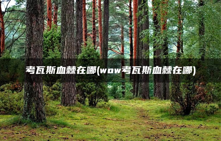 考瓦斯血棘在哪(wow考瓦斯血棘在哪)