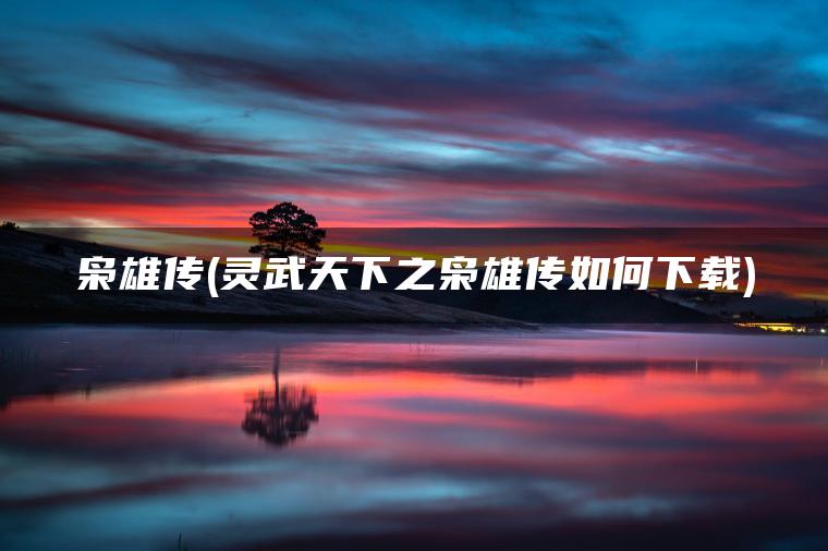 枭雄传(灵武天下之枭雄传如何下载)