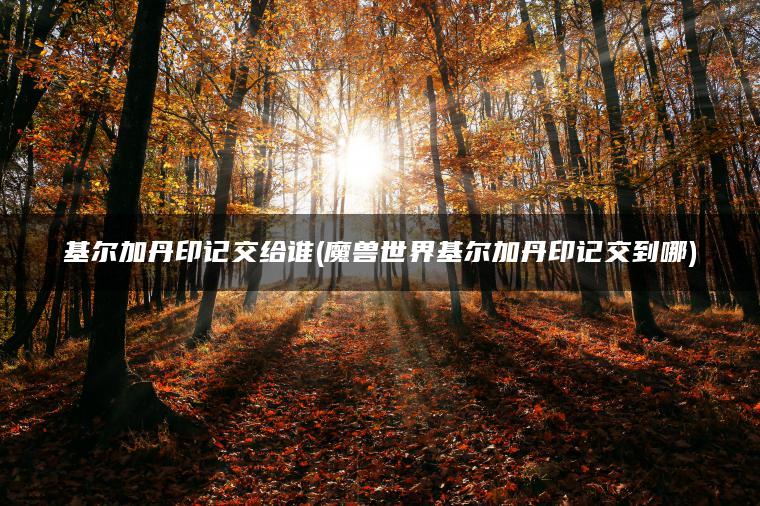 基尔加丹印记交给谁(魔兽世界基尔加丹印记交到哪)