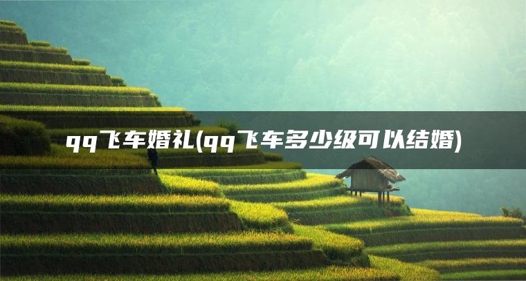 qq飞车婚礼(qq飞车多少级可以结婚)