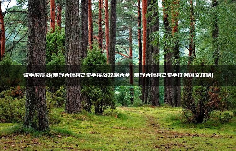 骑手的挑战(荒野大镖客2骑手挑战攻略大全 荒野大镖客2骑手任务图文攻略)