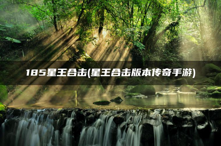 185星王合击(星王合击版本传奇手游)