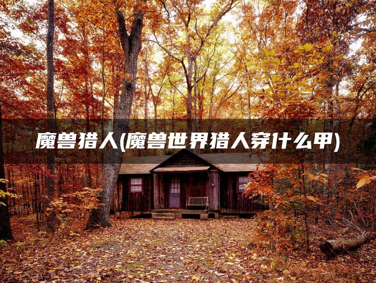 魔兽猎人(魔兽世界猎人穿什么甲)