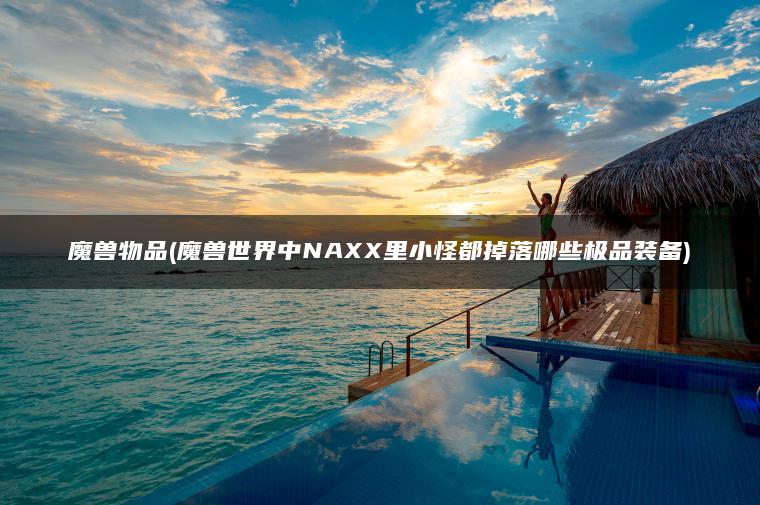 魔兽物品(魔兽世界中NAXX里小怪都掉落哪些极品装备)
