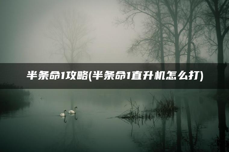 半条命1攻略(半条命1直升机怎么打)