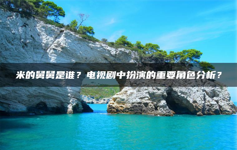 米的舅舅是谁？电视剧中扮演的重要角色分析？