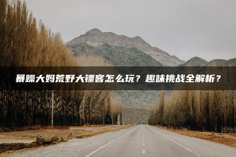 暴躁大妈荒野大镖客怎么玩？趣味挑战全解析？