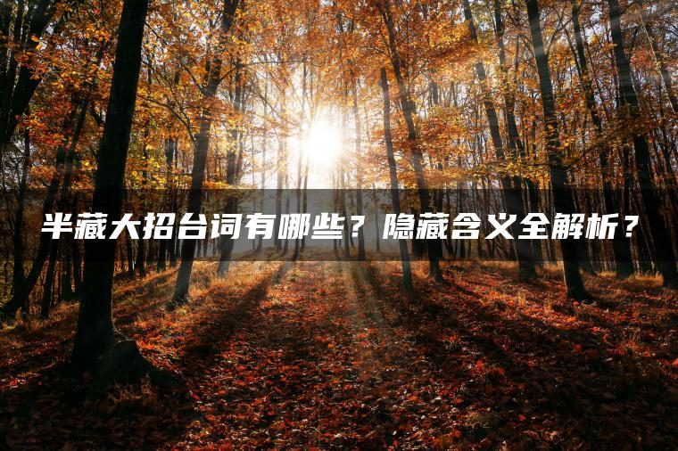 半藏大招台词有哪些？隐藏含义全解析？