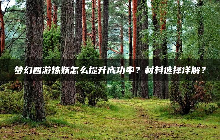 梦幻西游炼妖怎么提升成功率？材料选择详解？