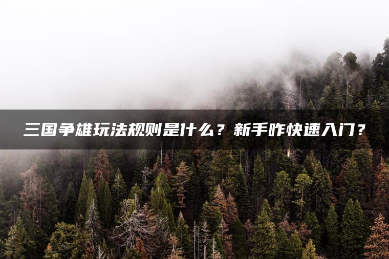 三国争雄玩法规则是什么？新手咋快速入门？