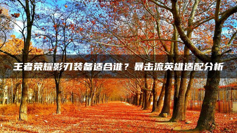 王者荣耀影刃装备适合谁？暴击流英雄适配分析