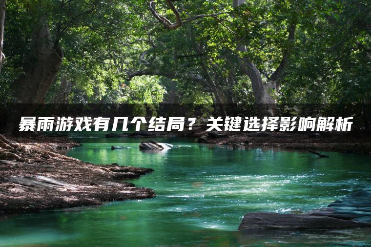 暴雨游戏有几个结局？关键选择影响解析