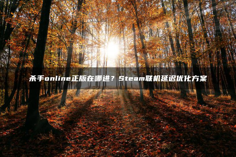 杀手online正版在哪进？Steam联机延迟优化方案