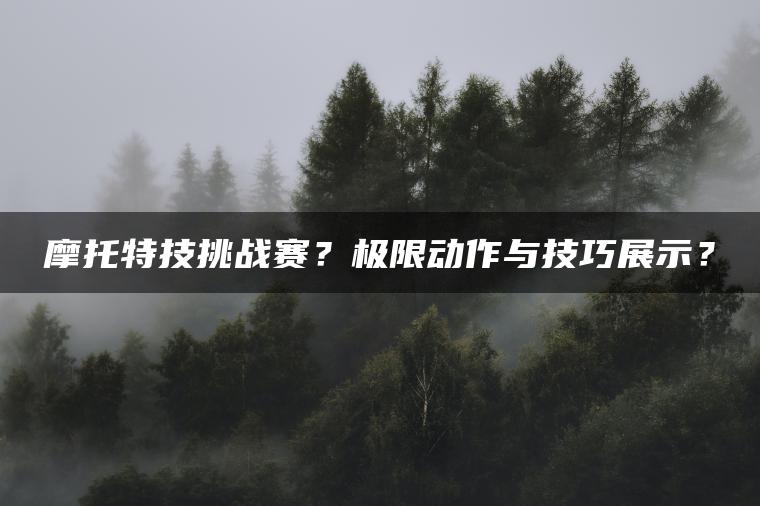 摩托特技挑战赛？极限动作与技巧展示？
