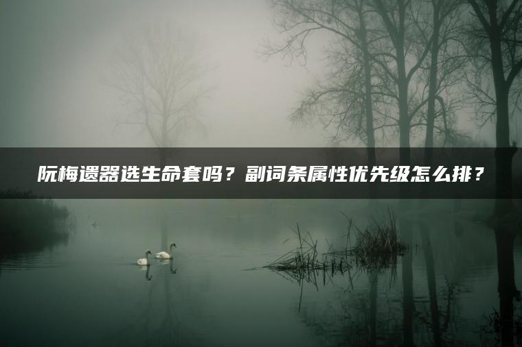 阮梅遗器选生命套吗？副词条属性优先级怎么排？