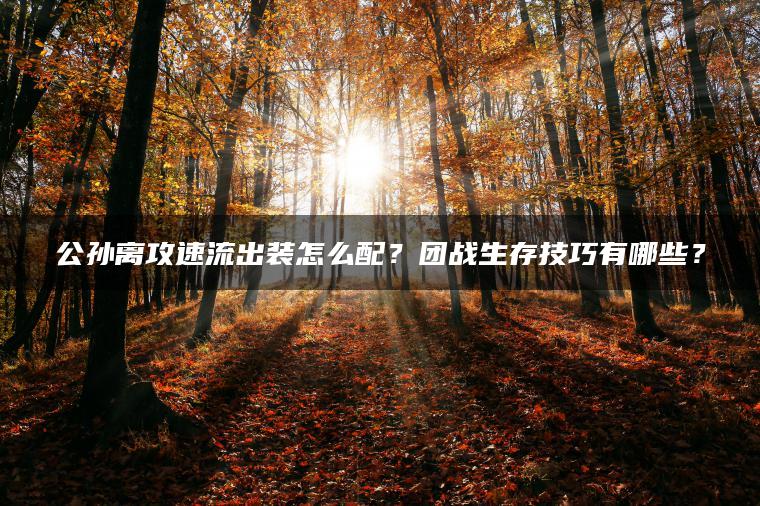 公孙离攻速流出装怎么配？团战生存技巧有哪些？