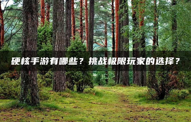 硬核手游有哪些？挑战极限玩家的选择？