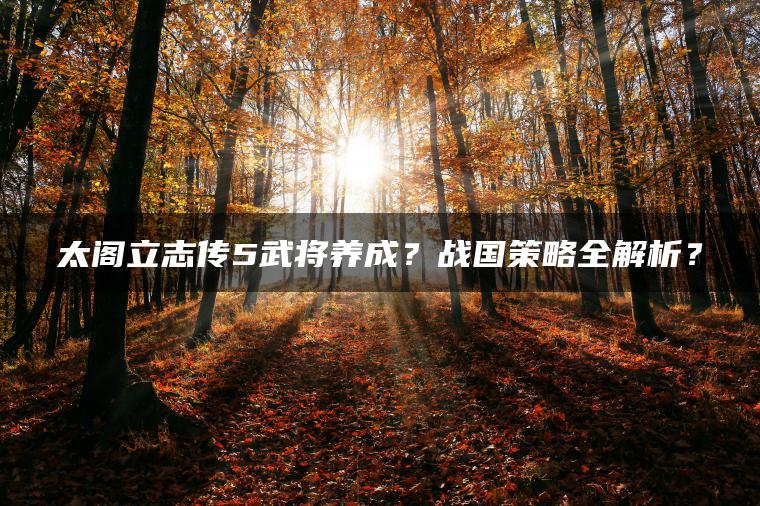 太阁立志传5武将养成？战国策略全解析？