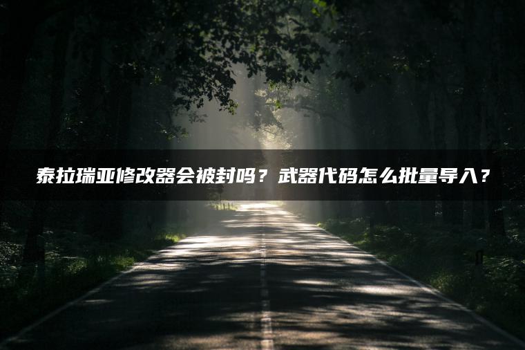 泰拉瑞亚修改器会被封吗？武器代码怎么批量导入？