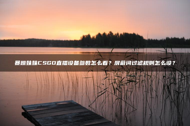 暴躁妹妹CSGO直播设备参数怎么看？屏蔽词过滤规则怎么设？