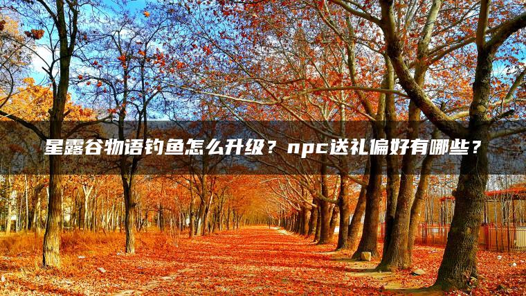 星露谷物语钓鱼怎么升级？npc送礼偏好有哪些？